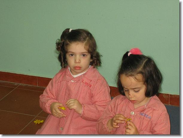 Diapositiva siguiente